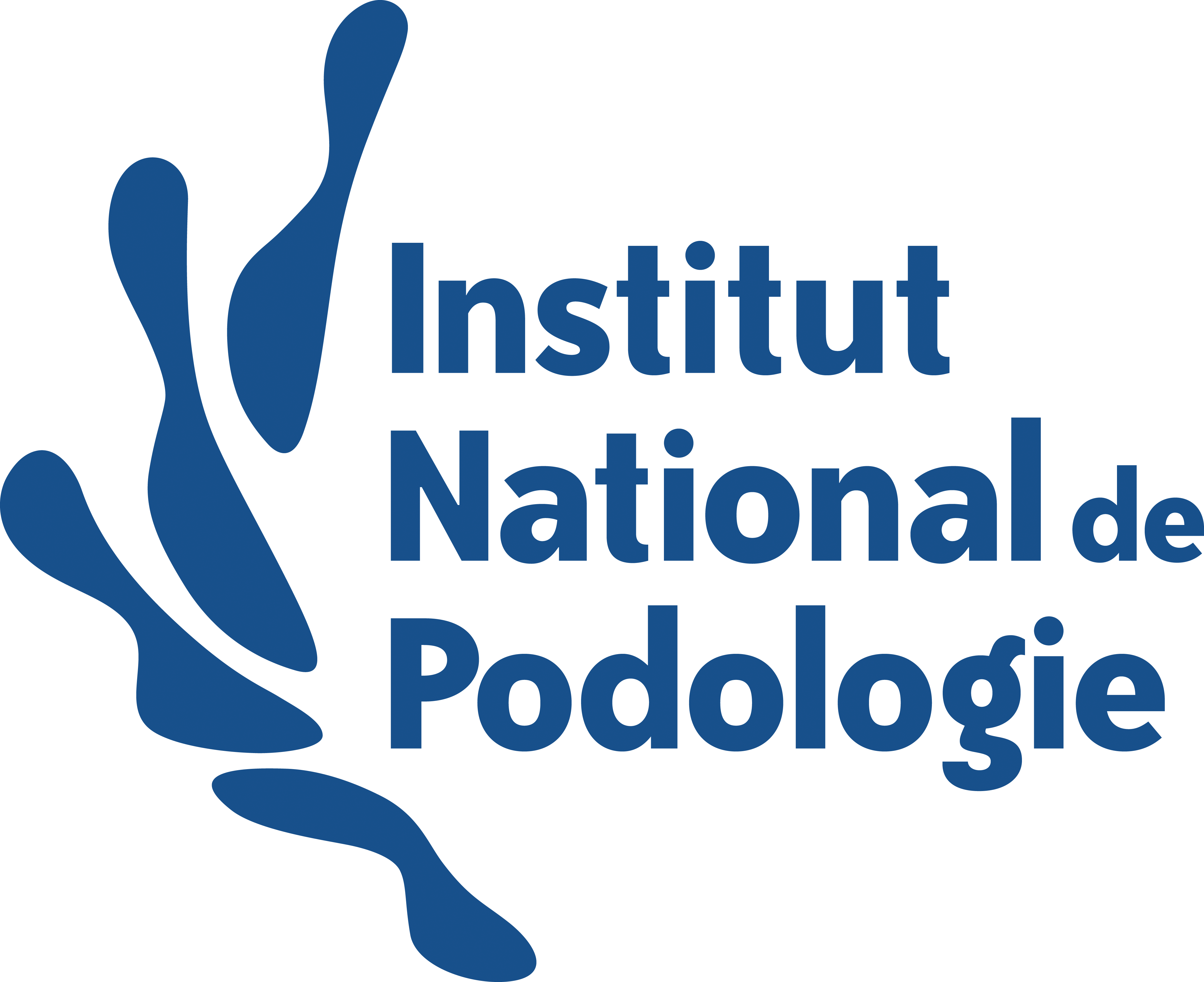Institut National de Podologie